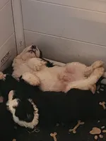 processed/2726d4a4-70d6-4f6d-8b90-e07902d431a7/listing/c093114b-2456-4163-ad47-a9a12daafa98/6f5e4e9e-5978-4860-adb2-4b4b22cc8c6b