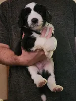 processed/2726d4a4-70d6-4f6d-8b90-e07902d431a7/listing/c093114b-2456-4163-ad47-a9a12daafa98/8bf830d8-ffbe-4239-b76d-be5e5a618f91