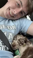 Rocky, a male Aussiedoodle for sale in Ooltewah, TN – 3 of 3