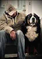 Orange male , a male Bernese Mountain Dog for sale in Warner, OK – 3 of 6