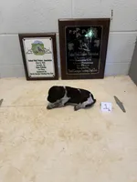 Male #1 , a male German Shorthaired Pointer for sale in Statesville, NC – 3 of 3