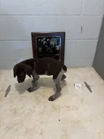 Female #4, a female German Shorthaired Pointer for sale in Statesville, NC – 3 of 3