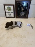 Female #1, a female German Shorthaired Pointer for sale in Statesville, NC – 2 of 3