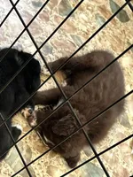 processed/276fe5f7-8ca5-496b-b025-91e08f3ec3a0/facility/ace02727-c6b2-4a26-afea-78535397ff89