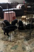 processed/276fe5f7-8ca5-496b-b025-91e08f3ec3a0/facility/c6221e9b-5bae-4487-899e-cc121e1d8391