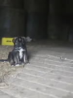 processed/2771571b-97b3-49b4-b30d-6845fdd4d570/listing/3dc950bf-3cb4-4e55-a0f9-5611d1602c1d/da9716c5-f21a-44de-90bb-81fa3d53b9fb