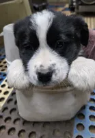 processed/2771571b-97b3-49b4-b30d-6845fdd4d570/listing/be5a16f1-4cda-436c-9c13-c1e296089d26/76071fc7-a518-4379-b9ac-ff7d0c13fa9e