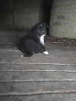 processed/2771571b-97b3-49b4-b30d-6845fdd4d570/listing/c6a30b62-ddfb-4f7f-bcc0-50e17e31c13c/32ca109a-f048-414e-ab20-1b30ab845026