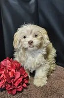 processed/27734228-6770-456a-a18d-24a48c80f52e/listing/0b5c2701-49f6-4bad-a42c-3909028abde2/4658dfea-c19c-4931-becb-da3398314225