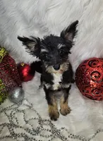 processed/27734228-6770-456a-a18d-24a48c80f52e/listing/2dc3ef54-ca58-41a7-8d9b-a073264df529/08831939-1925-435d-b879-f0d059f67654