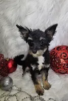 processed/27734228-6770-456a-a18d-24a48c80f52e/listing/2dc3ef54-ca58-41a7-8d9b-a073264df529/c2a03310-dbd5-4b0b-b8d4-65a46332ef59