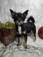 processed/27734228-6770-456a-a18d-24a48c80f52e/listing/2dc3ef54-ca58-41a7-8d9b-a073264df529/c4f6b2b8-469e-4e68-8a80-24137efbf53c