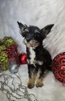 processed/27734228-6770-456a-a18d-24a48c80f52e/listing/2dc3ef54-ca58-41a7-8d9b-a073264df529/d7dc3a84-c4d2-4f18-868e-70ae9671ba8a