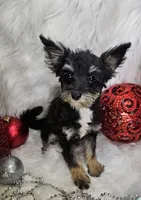 processed/27734228-6770-456a-a18d-24a48c80f52e/listing/2dc3ef54-ca58-41a7-8d9b-a073264df529/d99a8d4c-944d-44dd-b7d3-3e1144c94d83