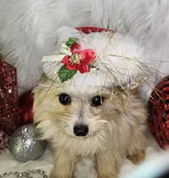 processed/27734228-6770-456a-a18d-24a48c80f52e/listing/2eff587f-5685-436f-ae9c-1a541a245966/03c8a75d-b355-46de-a542-e90801657dc1