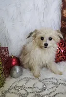 processed/27734228-6770-456a-a18d-24a48c80f52e/listing/2eff587f-5685-436f-ae9c-1a541a245966/257a1091-0f54-43c7-8665-4adc493f15f1