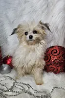 processed/27734228-6770-456a-a18d-24a48c80f52e/listing/2eff587f-5685-436f-ae9c-1a541a245966/403baa04-2d00-46ac-8197-df8099d04fd4