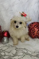 processed/27734228-6770-456a-a18d-24a48c80f52e/listing/2eff587f-5685-436f-ae9c-1a541a245966/9de6dbce-1fda-416d-928f-68baa614987a