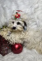 processed/27734228-6770-456a-a18d-24a48c80f52e/listing/3cb023a2-7842-4404-be98-de0e09f1fad9/1be08185-b140-4c6a-9f79-377cfca60e63