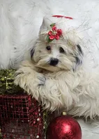 processed/27734228-6770-456a-a18d-24a48c80f52e/listing/3cb023a2-7842-4404-be98-de0e09f1fad9/7cd6508a-c8b0-45c8-a95b-fdd29389203d