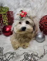 processed/27734228-6770-456a-a18d-24a48c80f52e/listing/3cb023a2-7842-4404-be98-de0e09f1fad9/f89fa529-bee5-4bb1-bf53-853fb9dcefa2