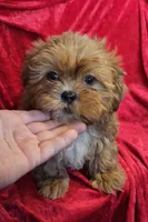 processed/27734228-6770-456a-a18d-24a48c80f52e/listing/5d4927b9-9209-4212-a0ea-a85b6d6cae0c/00aa7260-b953-44ba-b07b-6299090043d5