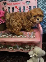 processed/27734228-6770-456a-a18d-24a48c80f52e/listing/5d4927b9-9209-4212-a0ea-a85b6d6cae0c/287e6b4a-7183-4e5d-8437-df2e93449472