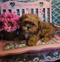 processed/27734228-6770-456a-a18d-24a48c80f52e/listing/5d4927b9-9209-4212-a0ea-a85b6d6cae0c/6d5a4c51-938d-4961-8dad-0dd2a19379cb