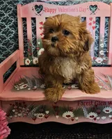 processed/27734228-6770-456a-a18d-24a48c80f52e/listing/5d4927b9-9209-4212-a0ea-a85b6d6cae0c/e0eb5631-5337-4aa1-adbd-b8ac3b976719