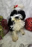 processed/27734228-6770-456a-a18d-24a48c80f52e/listing/72614bd2-1e15-49e6-8e8b-458a54c0baee/01852b5e-f160-4a21-b26d-2b0fe88e9847