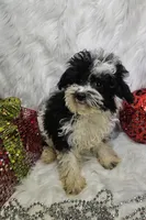 processed/27734228-6770-456a-a18d-24a48c80f52e/listing/72614bd2-1e15-49e6-8e8b-458a54c0baee/03cd9ae8-894f-45ef-bc45-48b96dd4ac5b