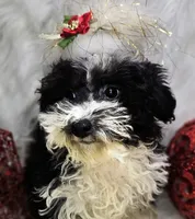 processed/27734228-6770-456a-a18d-24a48c80f52e/listing/72614bd2-1e15-49e6-8e8b-458a54c0baee/2590b12c-d41c-45b6-b190-e9565671d622