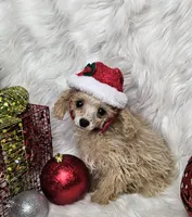 processed/27734228-6770-456a-a18d-24a48c80f52e/listing/a033d474-0036-445c-8b5d-c17c748689b5/205eb9b6-6b44-4a51-816f-78f0c4447783