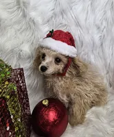 processed/27734228-6770-456a-a18d-24a48c80f52e/listing/a033d474-0036-445c-8b5d-c17c748689b5/27c6a0d8-d093-4be5-84ae-be2af7b118ff