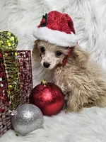 processed/27734228-6770-456a-a18d-24a48c80f52e/listing/a033d474-0036-445c-8b5d-c17c748689b5/6a833cbd-eda8-4834-b893-50670d4f18e1