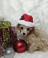 processed/27734228-6770-456a-a18d-24a48c80f52e/listing/a033d474-0036-445c-8b5d-c17c748689b5/7879e343-598a-4ce6-86dc-18e475cb2e0a