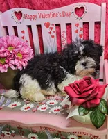 processed/27734228-6770-456a-a18d-24a48c80f52e/listing/ceff7f58-b3f3-4c5c-8018-e9c405b1c25f/099aec52-151b-489b-acdc-4d00876853ad