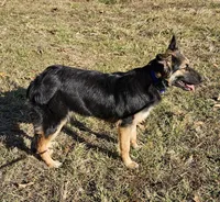 processed/27734228-6770-456a-a18d-24a48c80f52e/listing/e6d7d6d9-4f25-489d-b013-93edfe69d887/0daed9ae-e08b-4b73-9b6d-269e66107d59