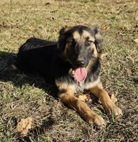 processed/27734228-6770-456a-a18d-24a48c80f52e/listing/e6d7d6d9-4f25-489d-b013-93edfe69d887/ceffe20c-fe6a-4dc8-bd14-66e79910d2da