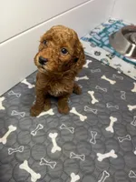 processed/278063ab-eb91-45bd-a152-490ea45a7ff5/listing/cfcf4cdc-ffe8-433d-a54e-812e8b4a0a10/0b4ce2c2-4a53-4779-b452-414f6a8775a5