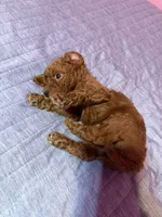 processed/278063ab-eb91-45bd-a152-490ea45a7ff5/listing/cfcf4cdc-ffe8-433d-a54e-812e8b4a0a10/6c2319a7-c9c6-440a-8a46-1e548c21a67e