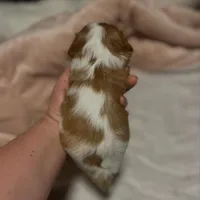 processed/2796e522-7cb4-477d-b138-ca574bffed77/listing/a0352c41-6f9a-4460-9f7f-1f71898bb207/4892e0f5-8952-47aa-a032-207e308525eb