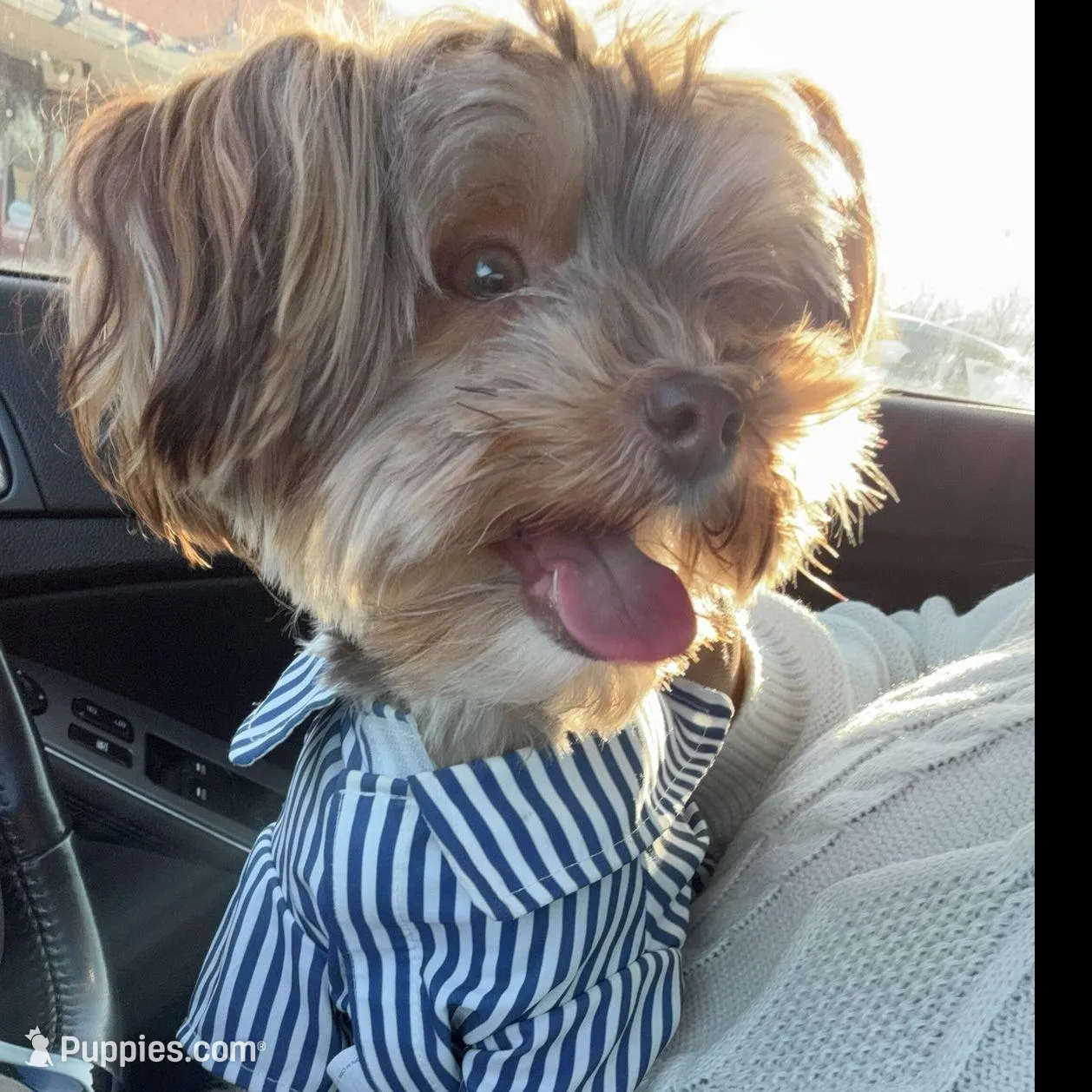 processed/27a669fe-1d1f-49a4-8415-1af239f8fa41/facility/0643cfdb-2ad4-4d4b-a703-45154d2f438b