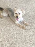 processed/27a669fe-1d1f-49a4-8415-1af239f8fa41/facility/17f33cb1-b104-4417-9783-e526d43df4e9