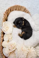 processed/27a669fe-1d1f-49a4-8415-1af239f8fa41/facility/2c034eae-a9cd-4ab3-a190-12ff6671c8b3