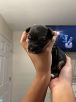 processed/27a669fe-1d1f-49a4-8415-1af239f8fa41/facility/541b67da-4dd4-4372-80f1-e3e650f4188e