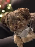 processed/27a669fe-1d1f-49a4-8415-1af239f8fa41/facility/b88e4644-db16-4c24-9c68-b0b92982644f