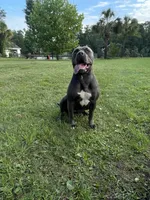 processed/27a98536-7894-40b1-8bb6-27a473ebc838/facility/302870de-d5af-4dba-9515-766cfcbba92f