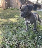 processed/27a98536-7894-40b1-8bb6-27a473ebc838/facility/6c7e9e97-5e05-4097-83cd-c304a924dbd4