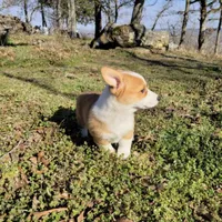 processed/27b0000f-21c5-46a7-aeac-6c6e1f6d8060/facility/066d7cfb-0292-4e91-a8c8-53612bb29b16